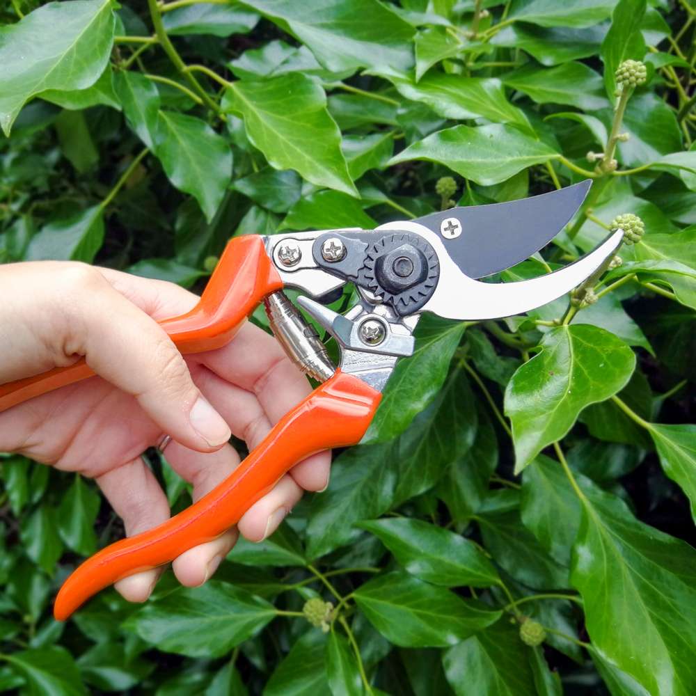 Burgon & Ball vänsterhänt sekatör